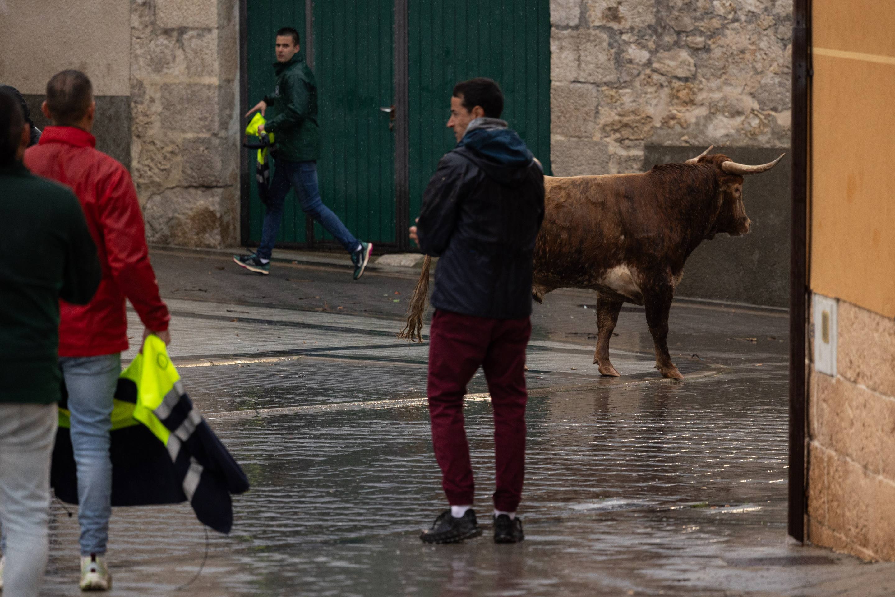 Las imágenes del encierro en Traspinedo