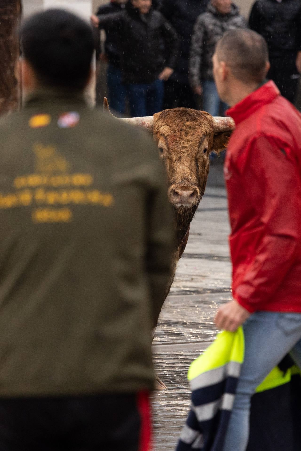Las imágenes del encierro en Traspinedo