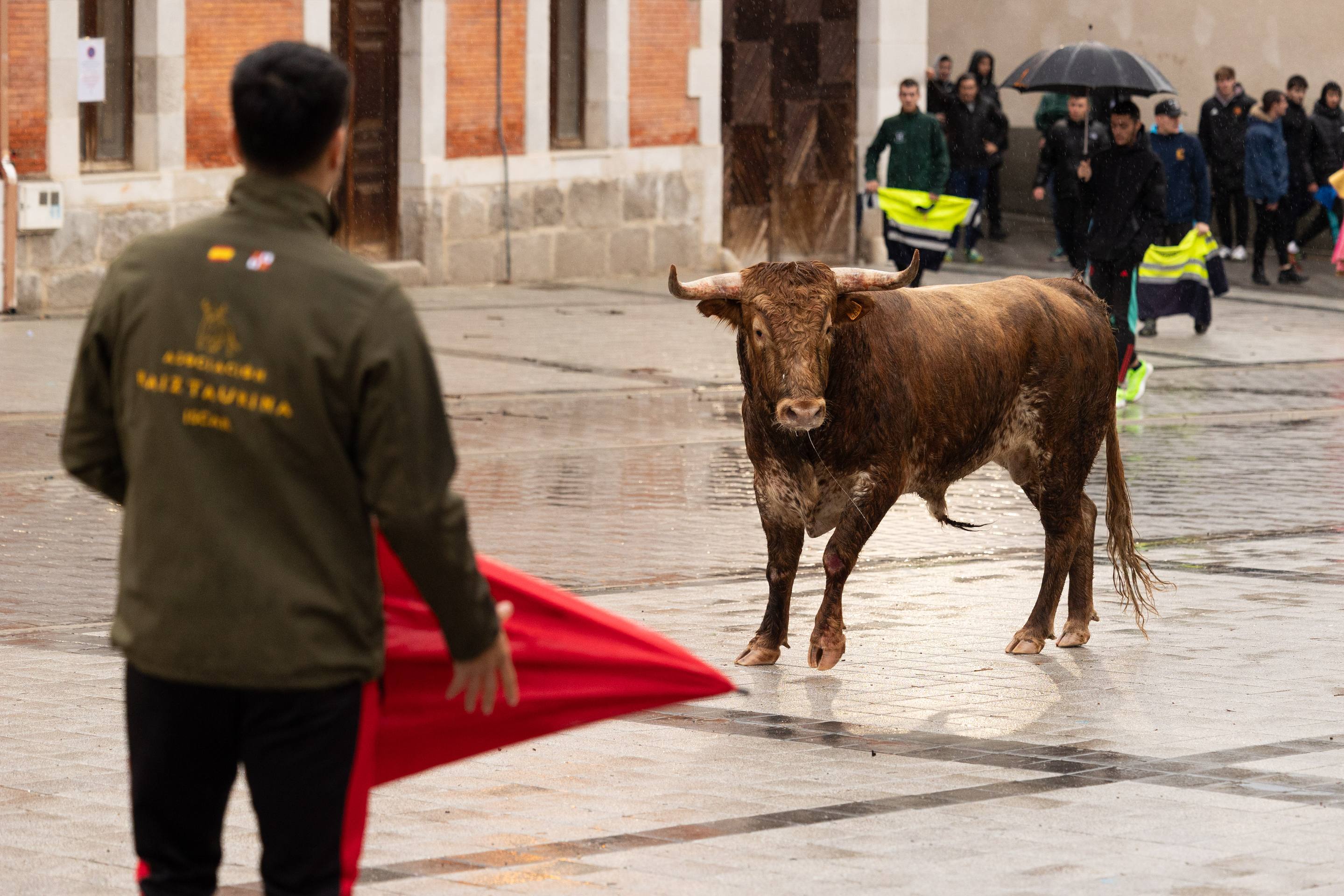 Las imágenes del encierro en Traspinedo