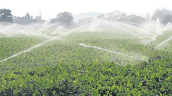El Plan Hidrológico contempla 18.962 hectáreas de nuevos regadíos en la Cuenca del Duero
