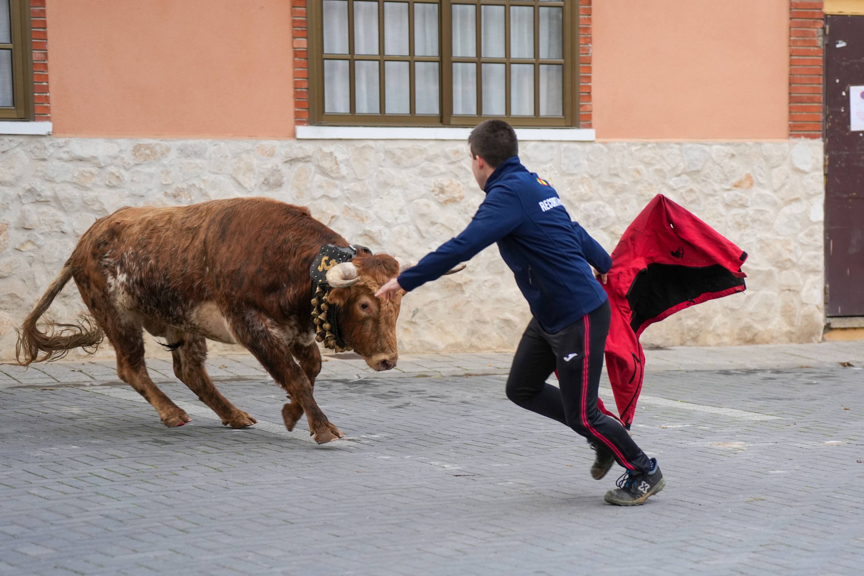 El encierro de este domingo en Traspinedo, en imágenes