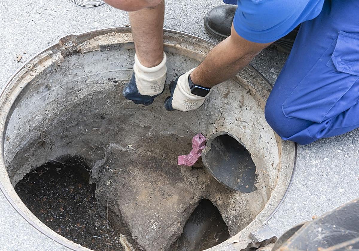 Un operario coloca raticida en una alcantarilla de la ciudad.