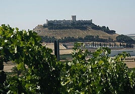 Dos bodegas de Valladolid entre las 50 mejores del mundo