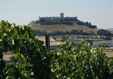 Dos bodegas de Valladolid entre las 50 mejores del mundo