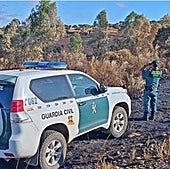 Un agente de la Guardia Civil inspecciona un terreno.