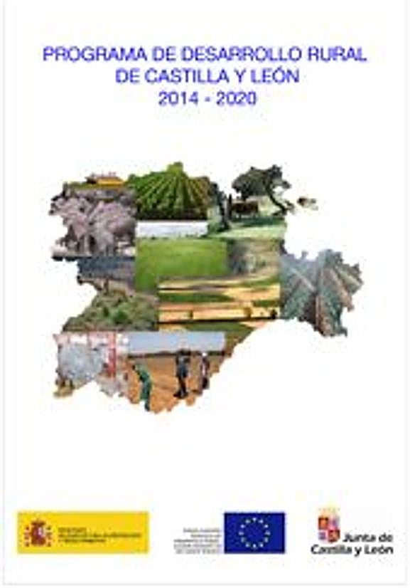 Avances a 31 de diciembre de 2024 en la ejecución del Programa de Desarrollo Rural 2014-2022 de Castilla y León