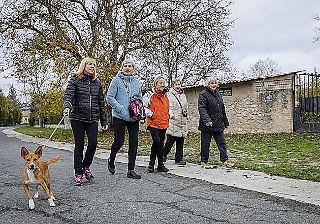 Las amigas Tere, Mari Flor, Julita, Nekane y Marta.