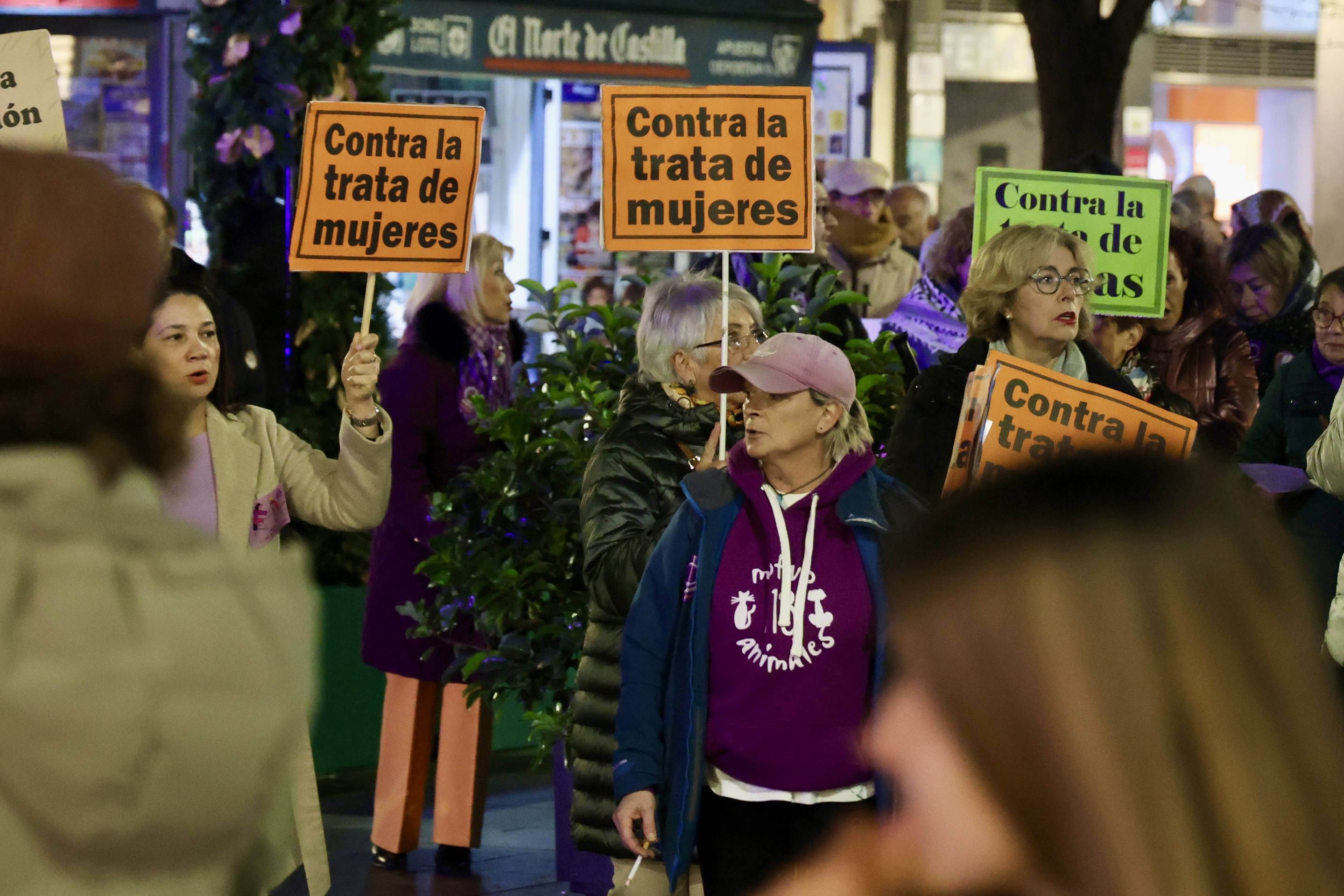 Las reivindicaciones por el 25N en Valladolid, en imágenes