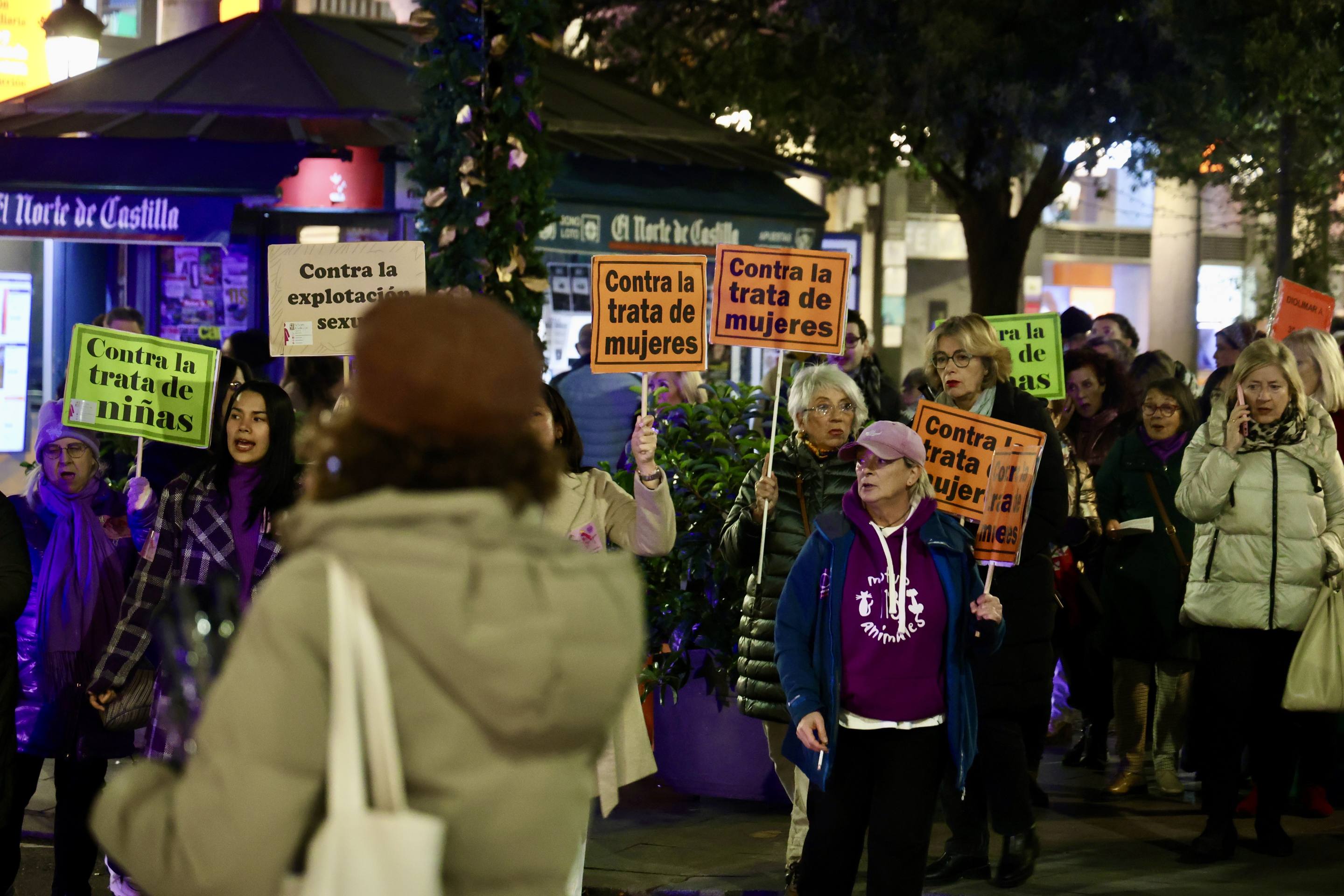 Las reivindicaciones por el 25N en Valladolid, en imágenes