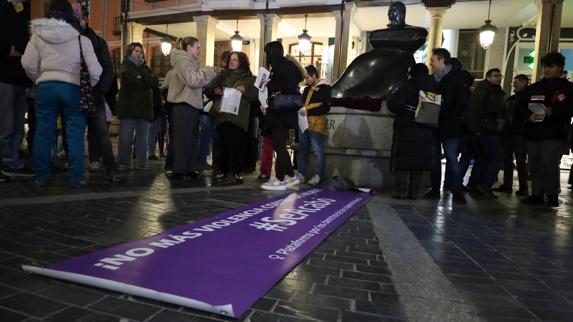La manifestación del 25N en Palencia en imágenes