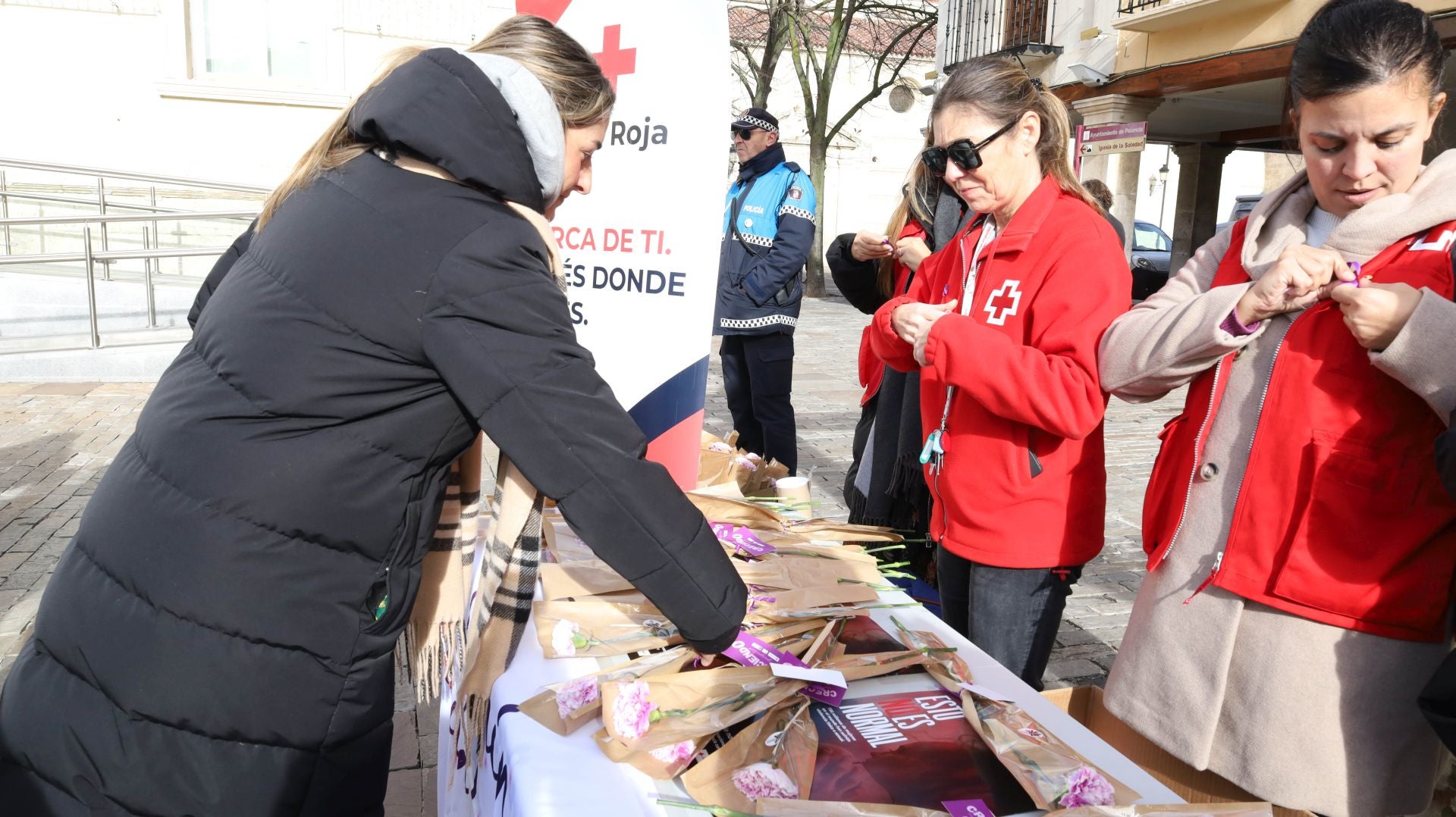 Así reclama Palencia el fin de la violencia contra las mujeres