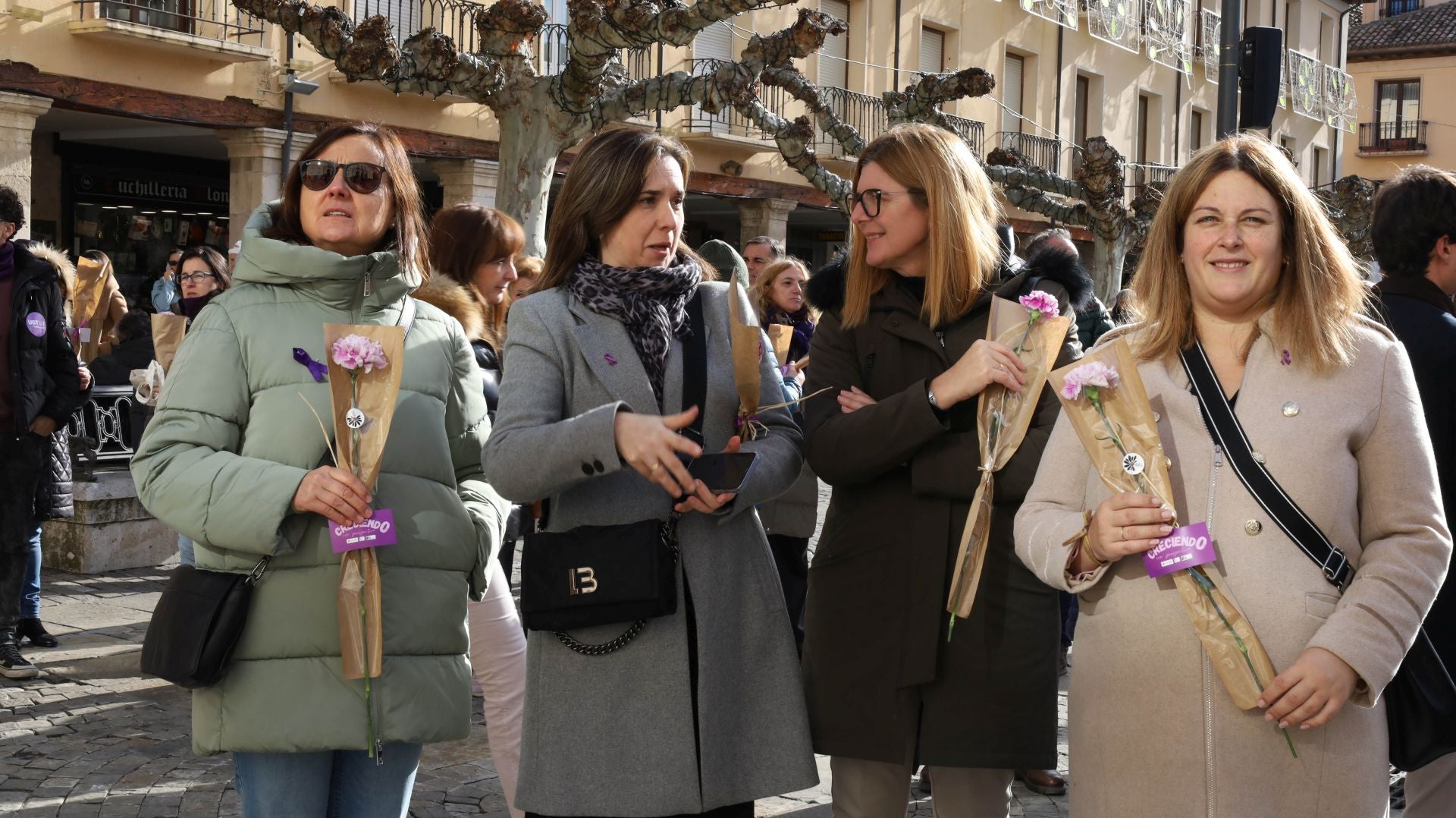 Así reclama Palencia el fin de la violencia contra las mujeres