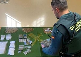 Efectos intervenidos durante la operación en Nava del Rey.