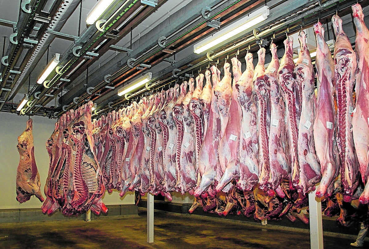 Canales de carne colgados en un matadero de la región.