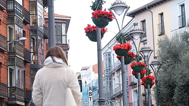 En la Plaza de Fuente Dorada se ha instalado un pórtico de acceso por la calle Ferrari con colores verdes y dorados para dar paso a un adorno gigante por cuyo interior puede transitarse. Se trata de...