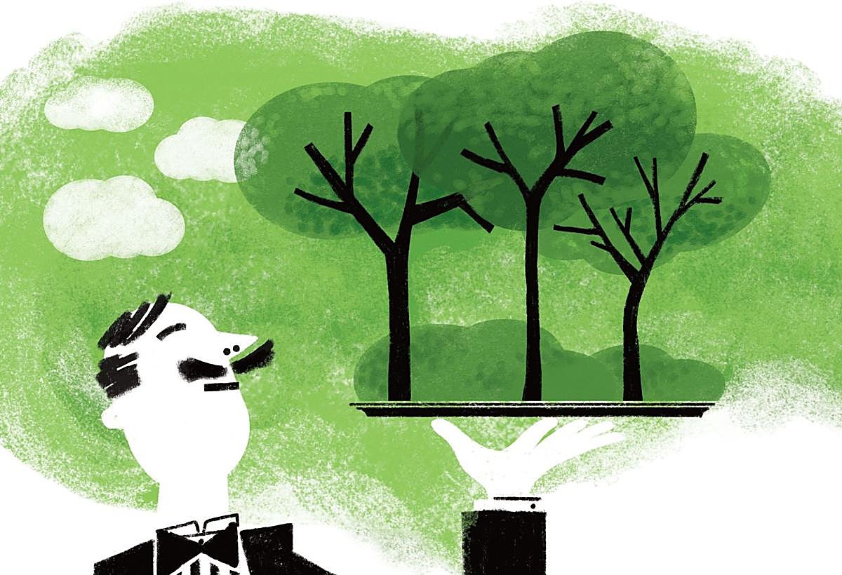 Una tierra para comérsela