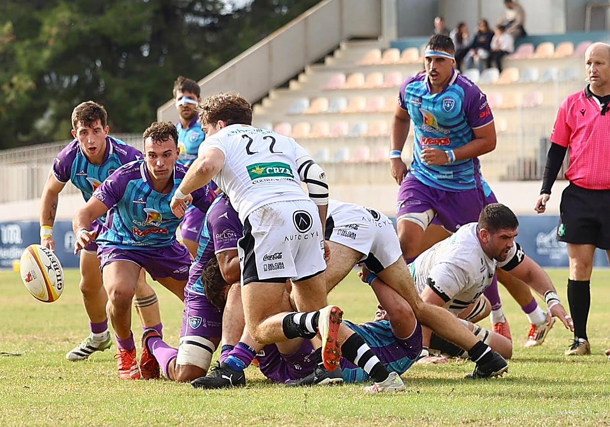 Salida de melé con el oval sin dueño.