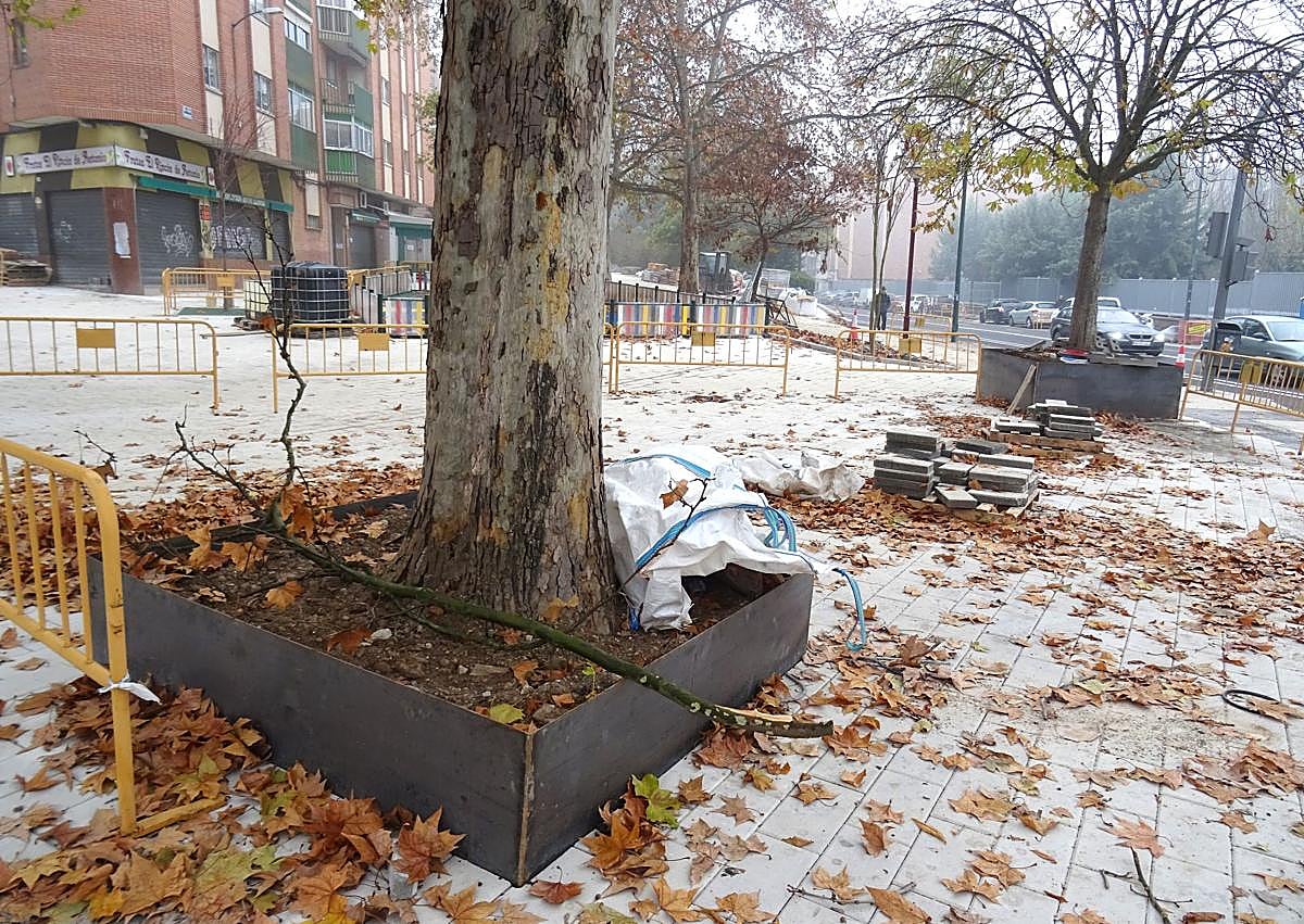 Imagen secundaria 1 - Arriba, el tramo peatonalizado del inicio de la calle Teófilo Villamañán. Debajo, a la izquierda, los alcorques elevados de los árboles. A la derecha, la nueva fuente instalada junto al parque infantil.