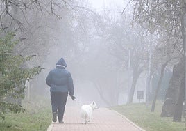 Una mujer pasea a su mascota por los senderos de la ladera de Parquesol que baja hacia la avenida de Salamanca.