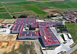 Las plantas de la compañía cuentan con paneles solares para el autoconsumo.