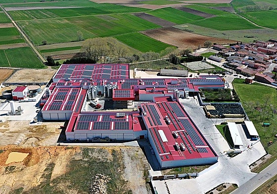 Las plantas de la compañía cuentan con paneles solares para el autoconsumo.