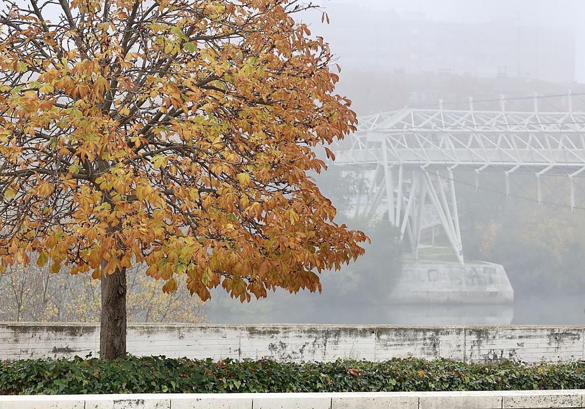 Niebla en Valladolid