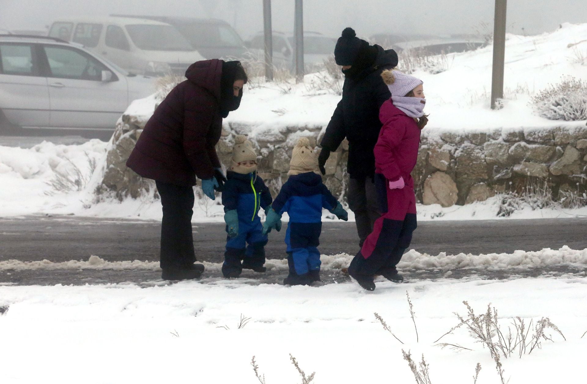 La nieve alfombra la sierra