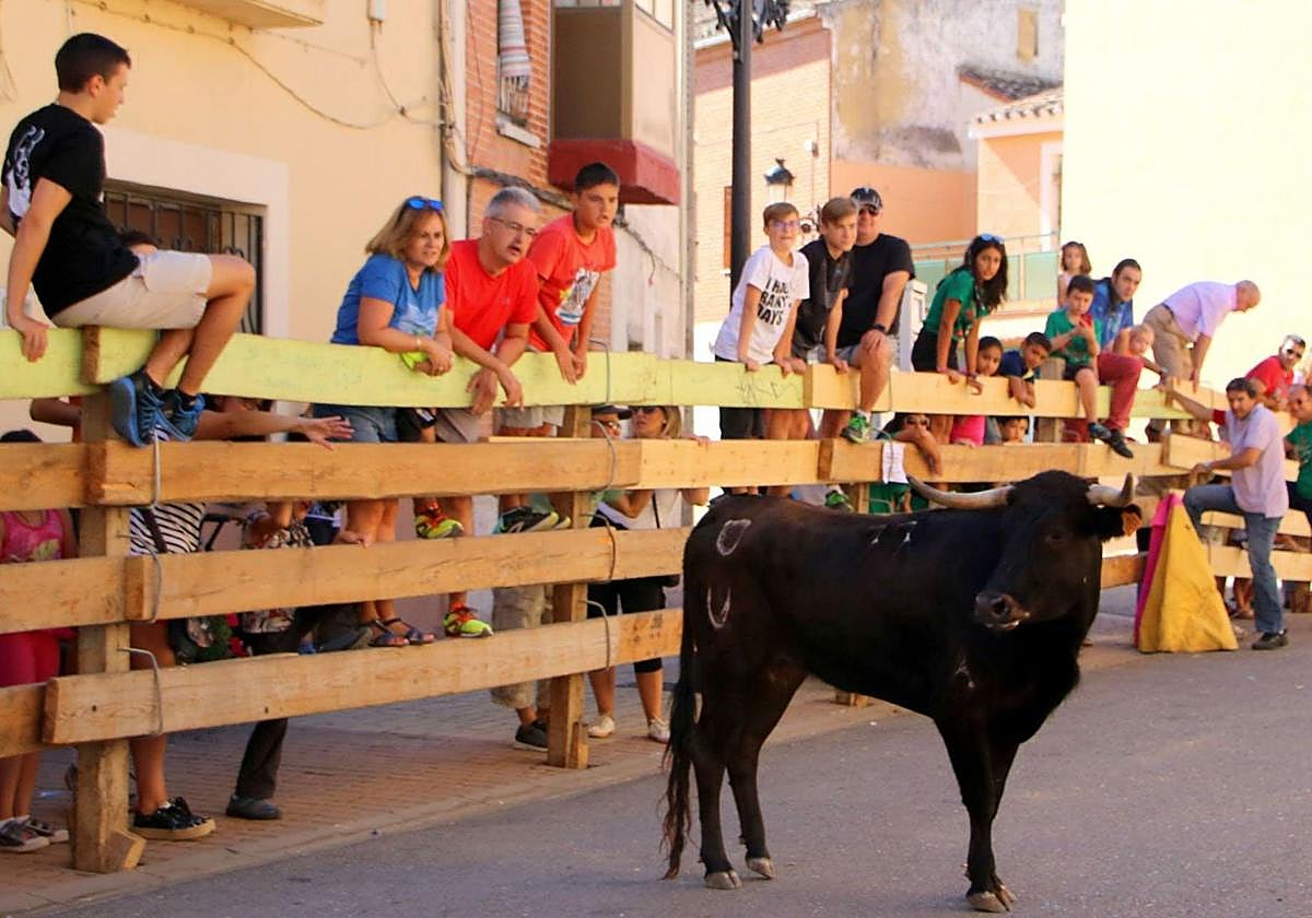 Encierros en Torquemada.