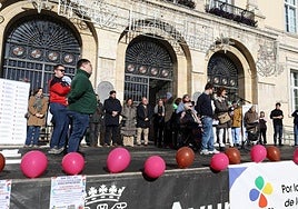 Carmen del Barrio lee el manifiesto, en la jornada celebrada este miércoles en la Plaza Mayor.