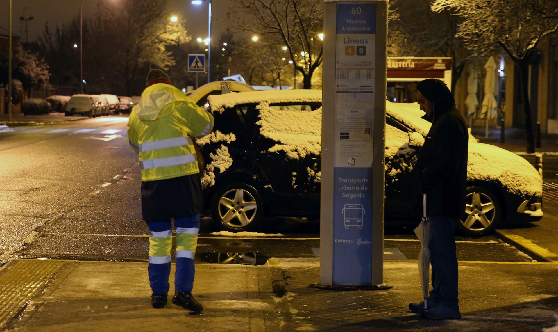 Fotografías de las primeras nieves en Segovia