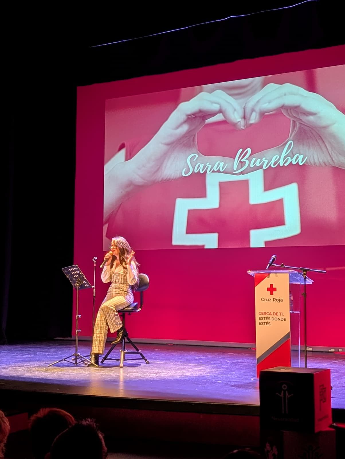 Así ha sido el homenaje de Cruz Roja Palencia a sus voluntarios, socios y empresas