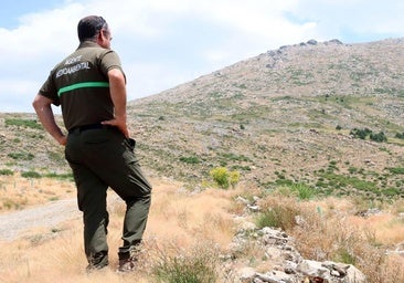 La soledad de la policía del medio natural: «Estás muy vendido»