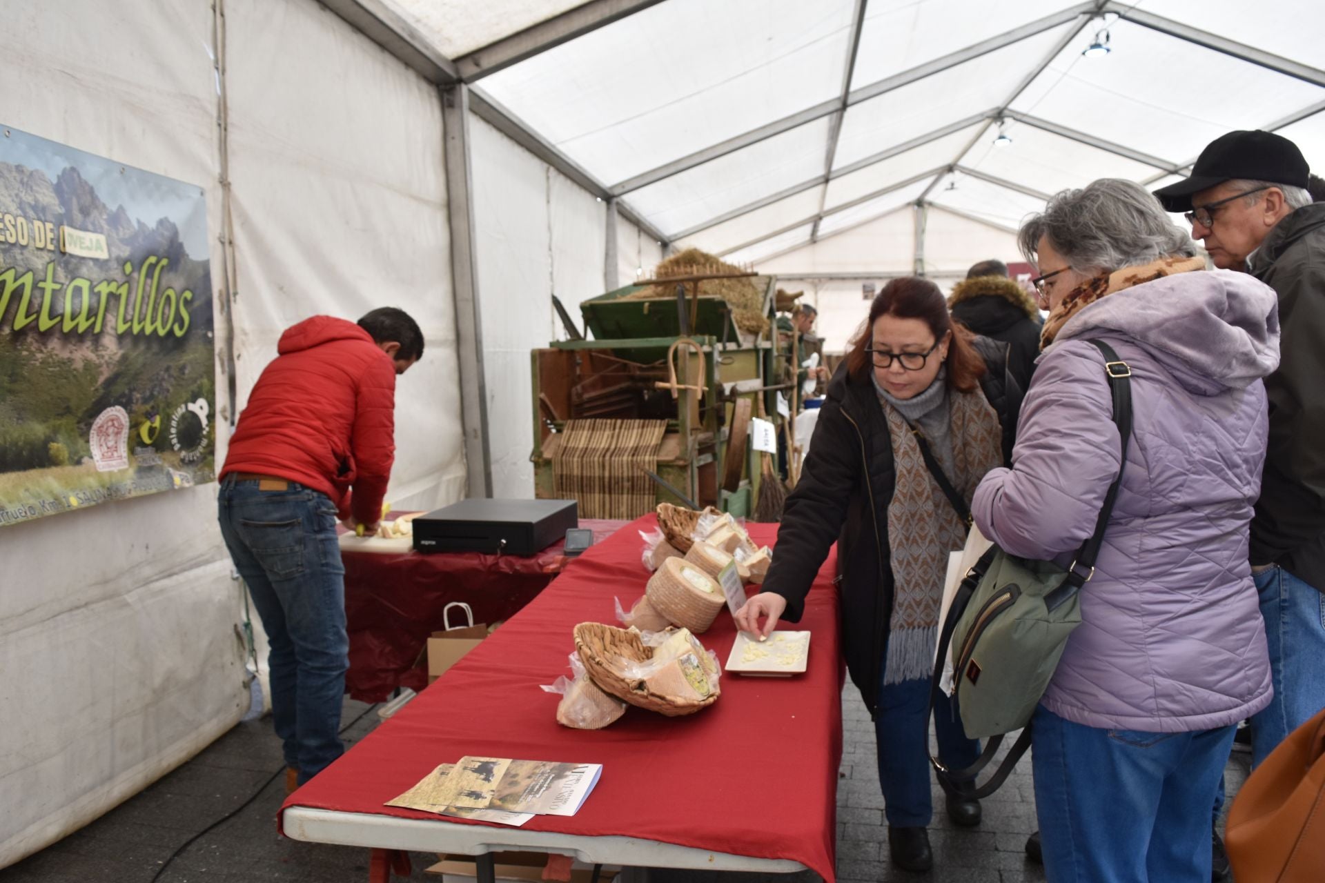 Cervera acoge la Feria de Ganado sin reses vivas