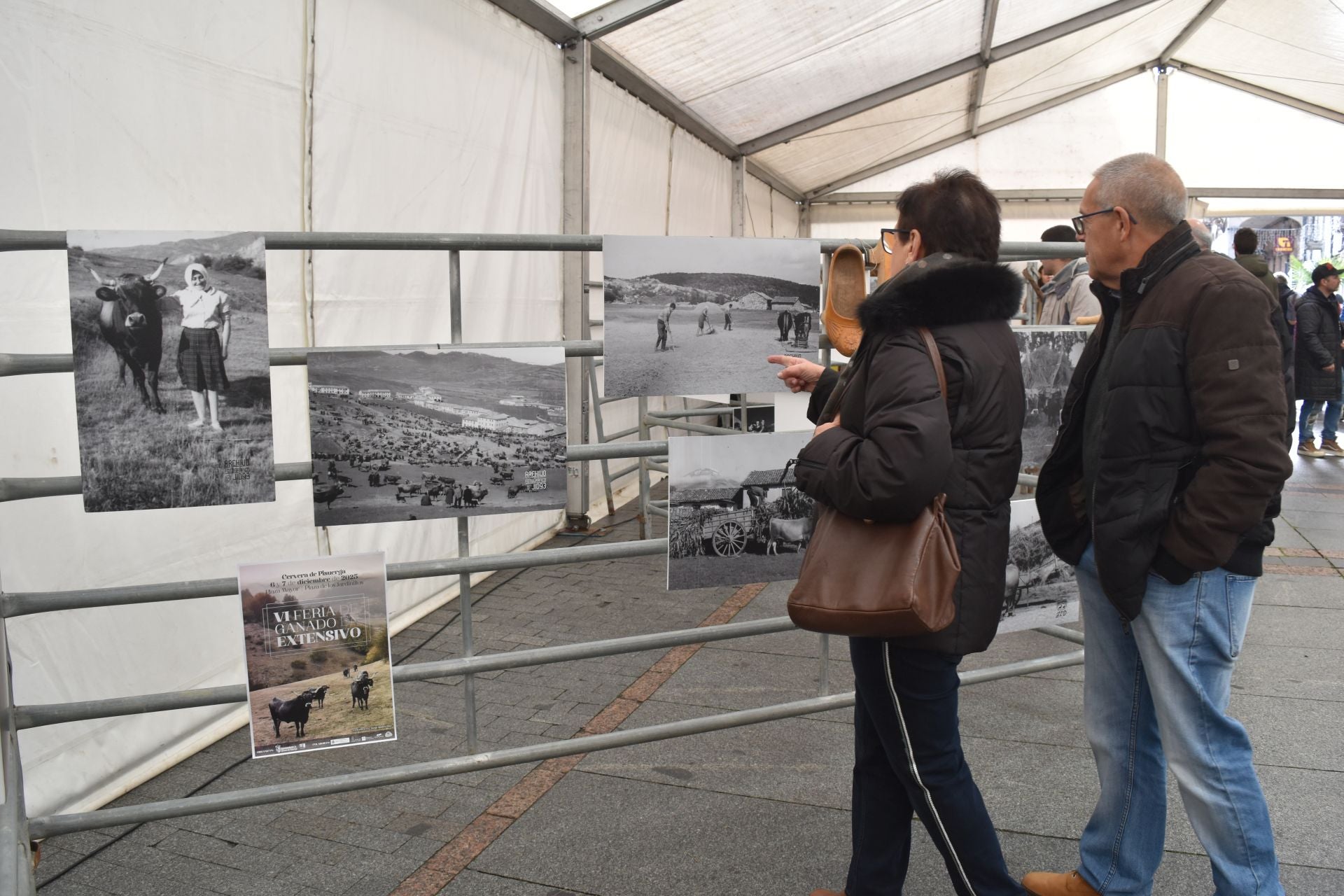Cervera acoge la Feria de Ganado sin reses vivas