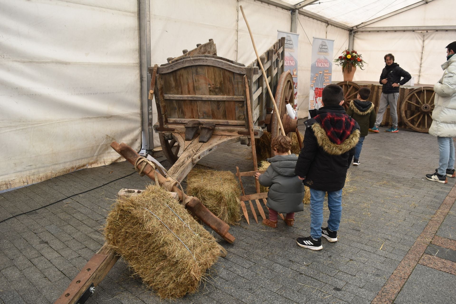 Cervera acoge la Feria de Ganado sin reses vivas