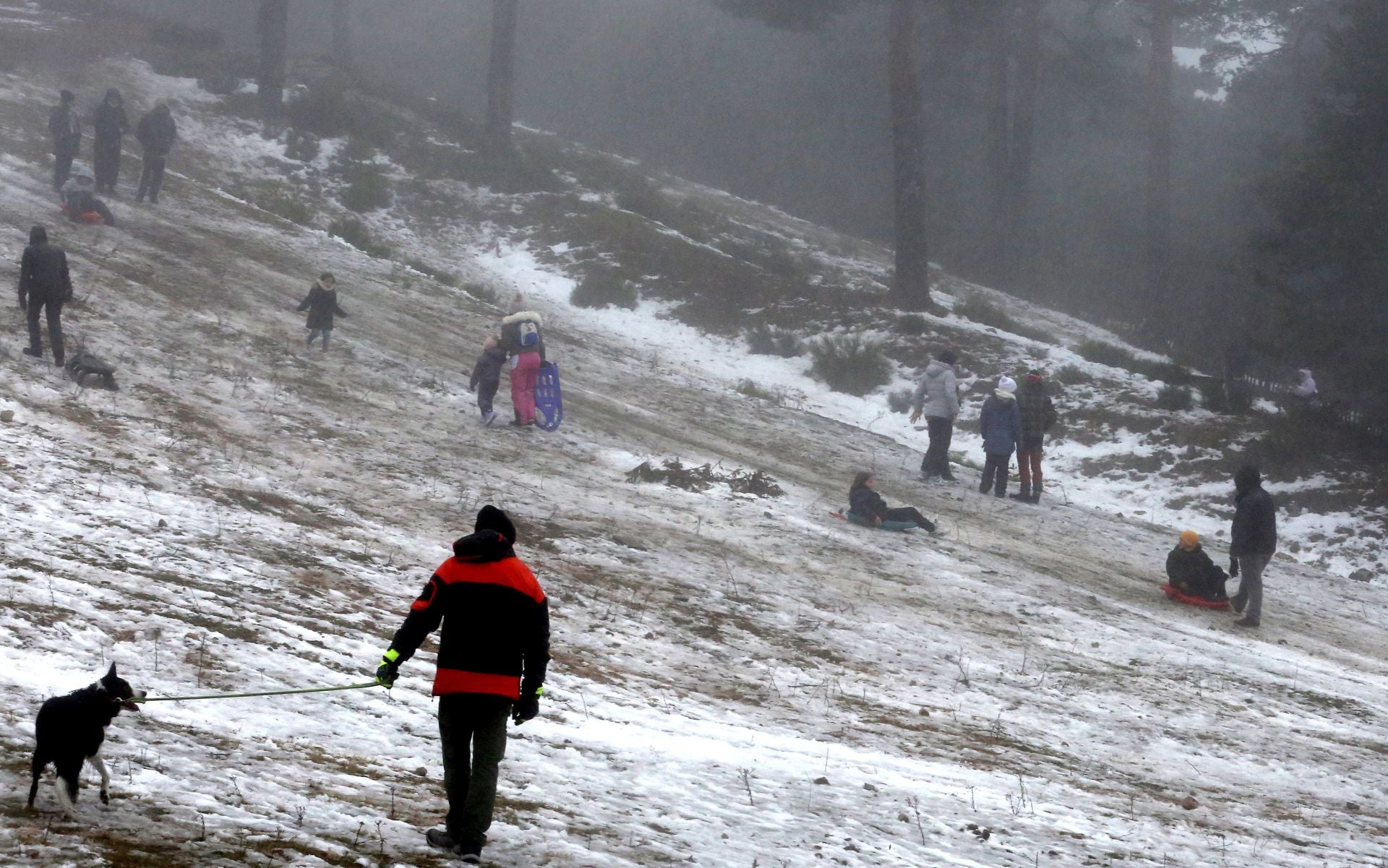 Fin de semana de nieve en Navacerrada sin cortes de tráfico