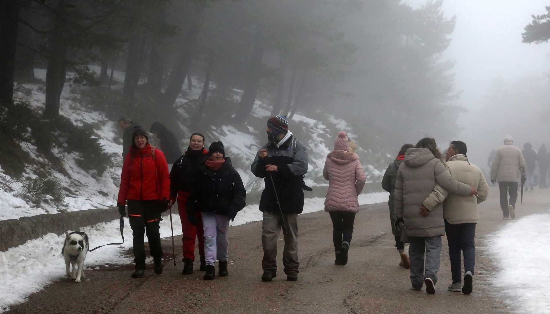 Fin de semana de nieve en Navacerrada sin cortes de tráfico
