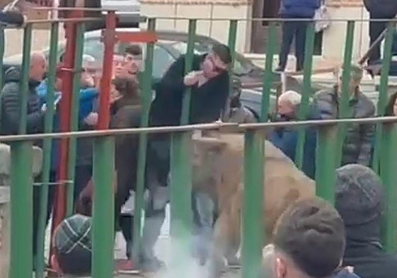 Momento en el que el varón es alcanzado por el animal.