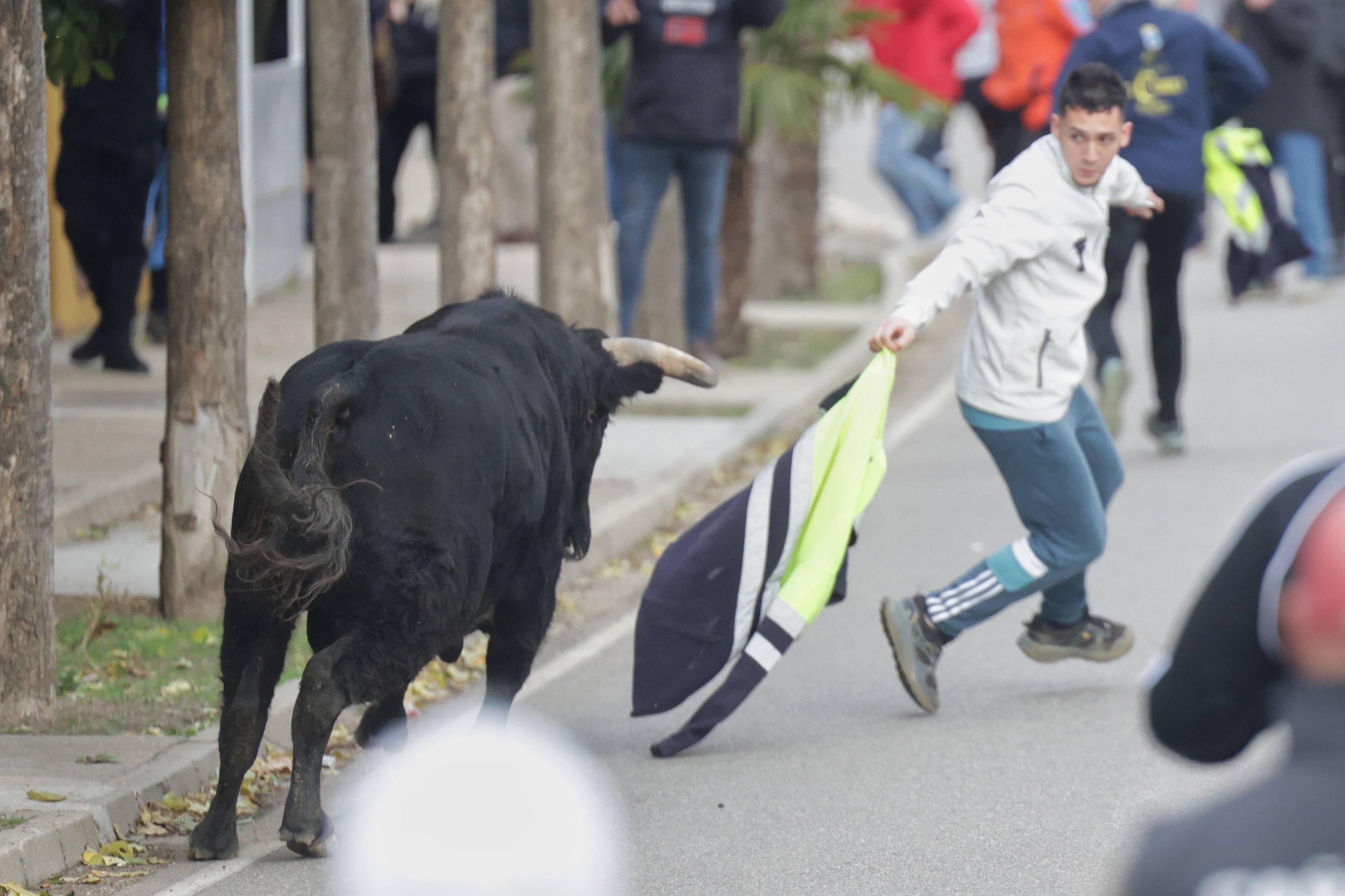 El encierro en Pollos, en imágenes