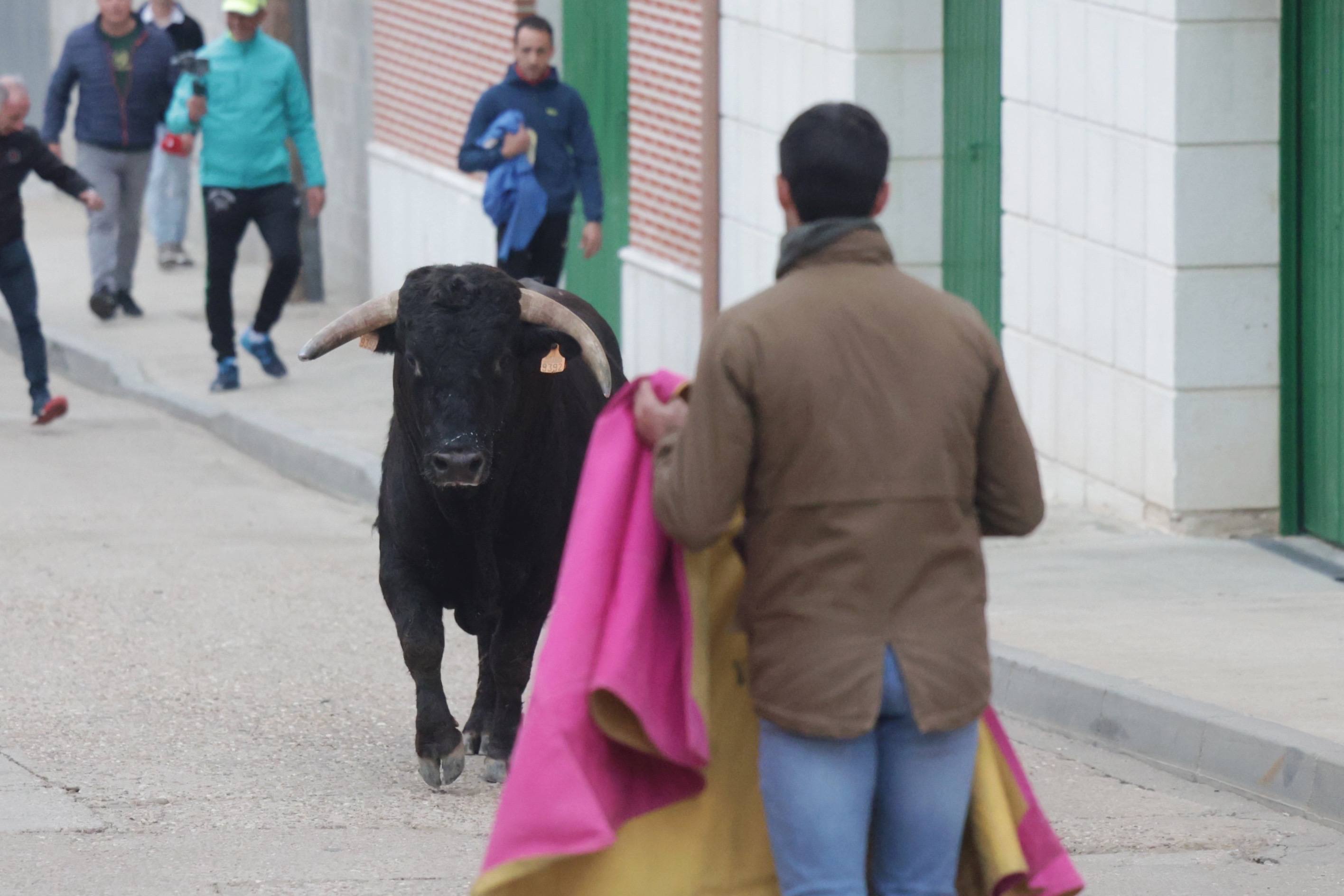 El encierro en Pollos, en imágenes