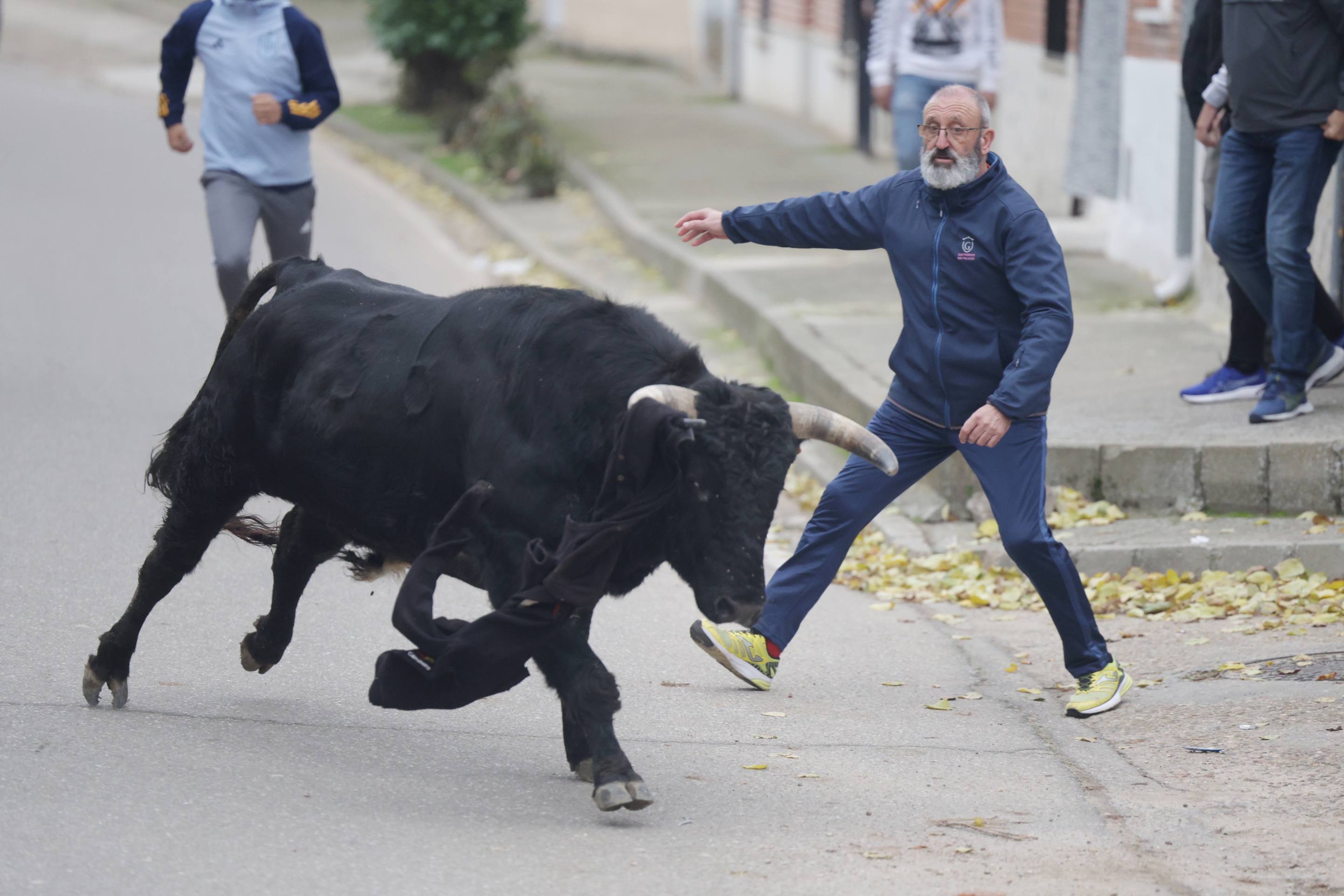 El encierro en Pollos, en imágenes