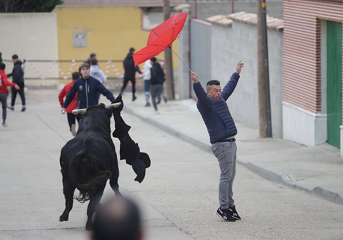 El encierro en Pollos, en imágenes
