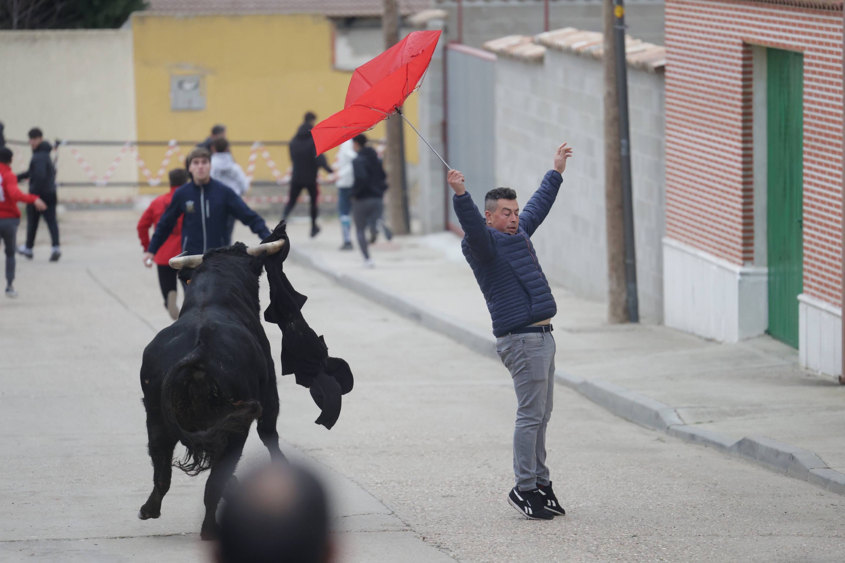 El encierro en Pollos, en imágenes