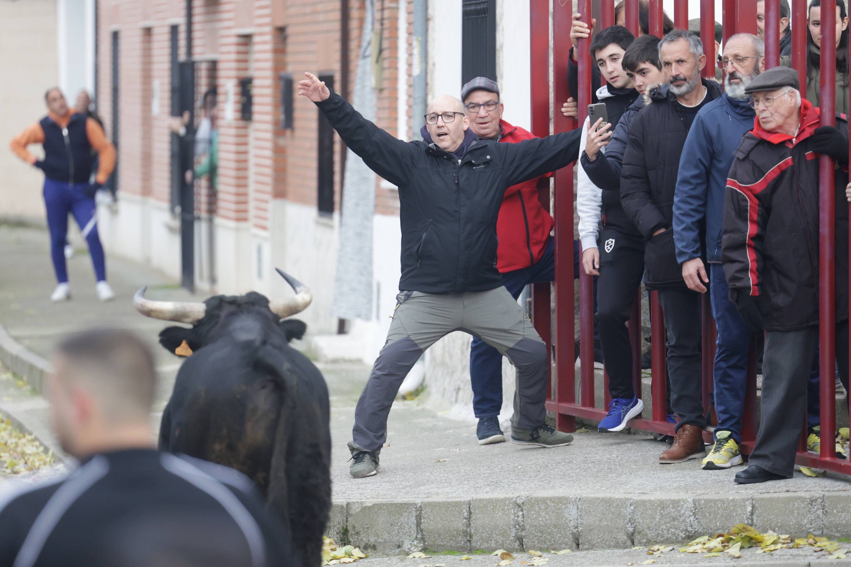 El encierro en Pollos, en imágenes