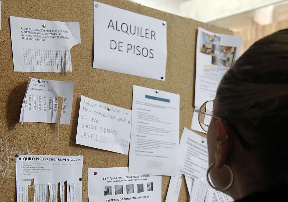 Una joven consulta un tablón de anuncios con pisos en alquiler.