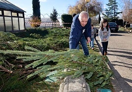 Vuelve el tradicional mercado de abetos de Palencia
