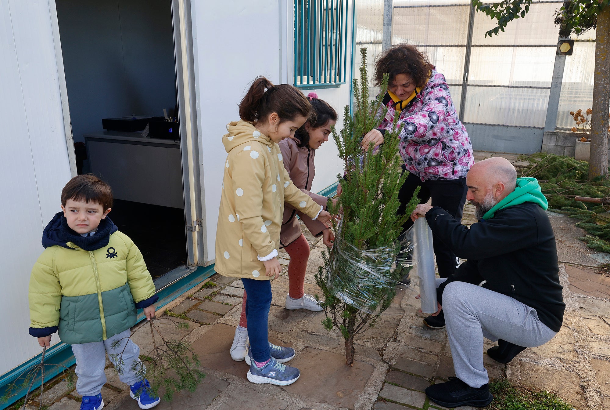 Vuelve el tradicional mercado de abetos de Palencia