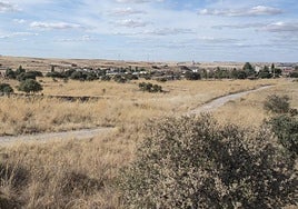 Terrenos de La Costanilla, con el núcleo de Hontoria al fondo.