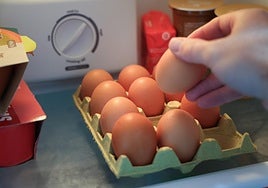 Un cart&oacute;n de huevos.