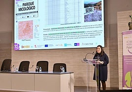 Cristina Martínez, del Cesefor, durante la presentación.